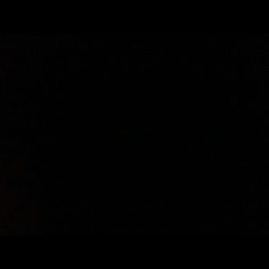 Meet your Posher, Abigail